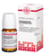HARPAGOPHYTUM PROCUMBENS D 12 Tabletten - 80Stk