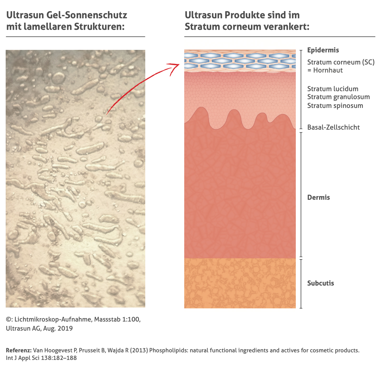 ultrasun_lamellar_grafiken.jpg