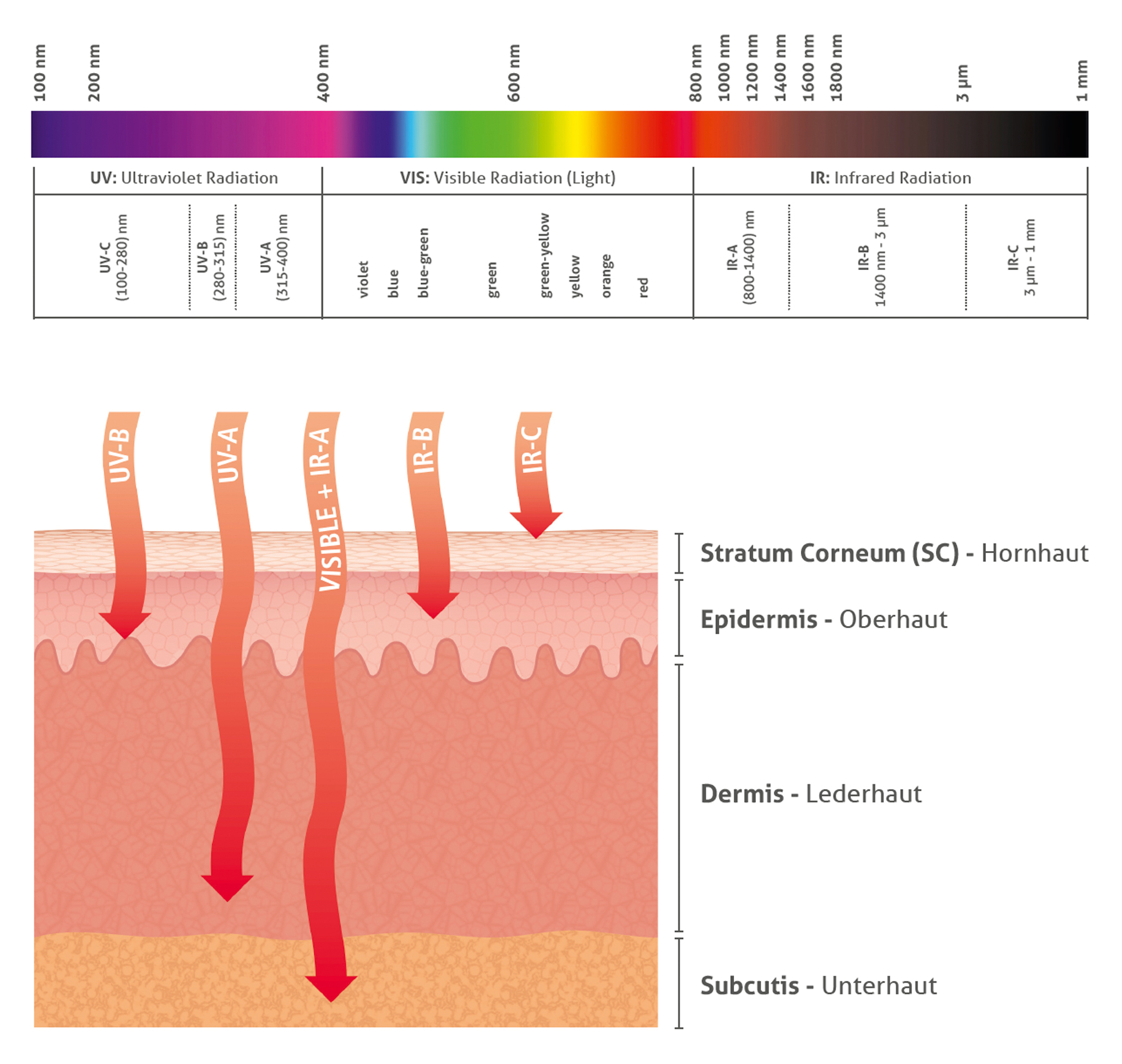 ultrasun_schutz_grafik.jpg