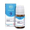 BIOCHEMIE DHU 9 Natrium phosphoricum D 12 Tabl. - 80Stk - DHU Nr. 9 & 10