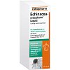 ECHINACEA-RATIOPHARM Liquid - 50ml - Erkältung - Husten