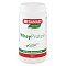 WHEYPROTEIN lactosefrei Vanille Pulver - 400g - Energy-Drinks