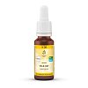 BACHBLÜTEN No.36 Wild Oat Bio - 20ml - Homöopathie & Natur