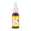 BACHBLÜTEN No.38 Willow Bio - 20ml - Homöopathie & Natur