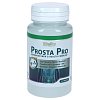 PROSTA PRO Quercetin+Zink+Selen+Vitamin B6 Kapseln - 60Stk - Vegan