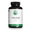 GREEN NATURALS Vital Pilze Cordyceps Reishi vegan - 180Stk - Vegan