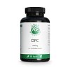 GREEN NATURALS OPC 1000mg aus Traubenkern-Extr.Kps - 180Stk - Gedächtnis & Konzentration