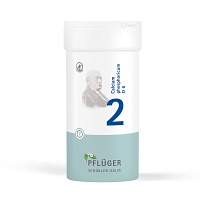 BIOCHEMIE Pflüger 2 Calcium phosphoricum D 6 Tabl.