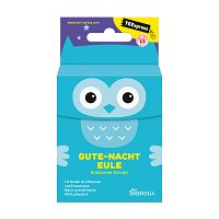 SIDROGA TEExpress Gute-Nacht Eule