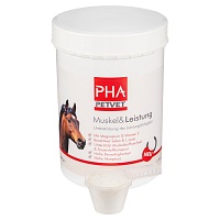 PHA Muskel & Leistung Pulver f.Pferde