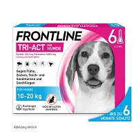 FRONTLINE TRI-ACT M (10-20 kg) 6 ST