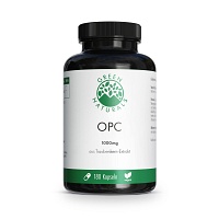 GREEN NATURALS OPC 1000mg aus Traubenkern-Extr.Kps